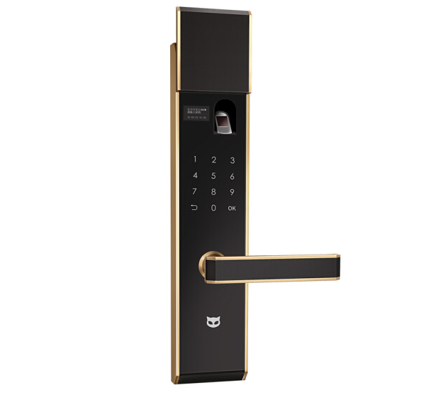 智能指紋鎖定制案例 智能指紋鎖定制案例